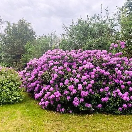 Charming Coastal Retreat With Sea View *