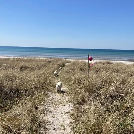 Charming Coastal Retreat With Sea View Højby